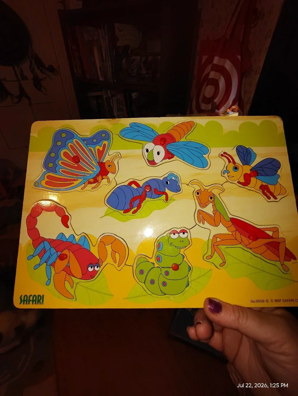 Safari Colorful Insect Wooden Peg Puzzle - Multicolor